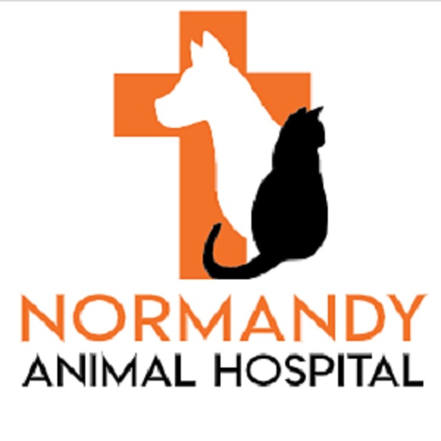 300 Normandy Animal Hospital