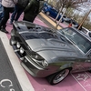 k-Carfriday, Bochum, Westfi... - Carfriday 2026 Westfield Ru...