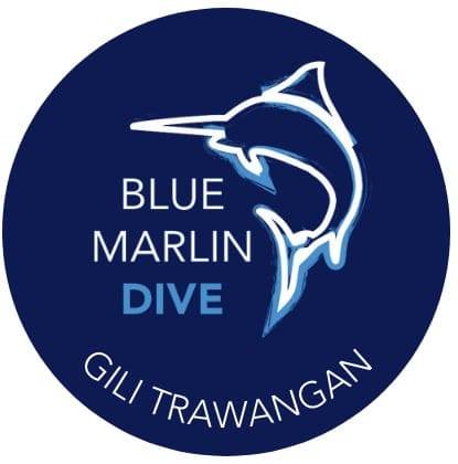 logo The PADI IDC Gili Trawangan – Gili Islands - Indonesia