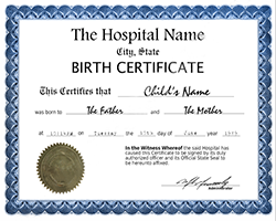 Fake Certtificates Picture Box 2