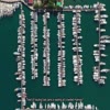 Blackfin Fuels Punta Gorda - Blackfin Fuels
