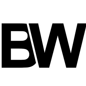 Logo BridgeWeb - Website Design & Development