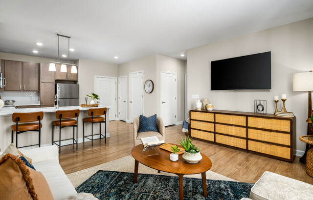 Luxury Modern Apartment for Rent in Virginia Beach Picture Box