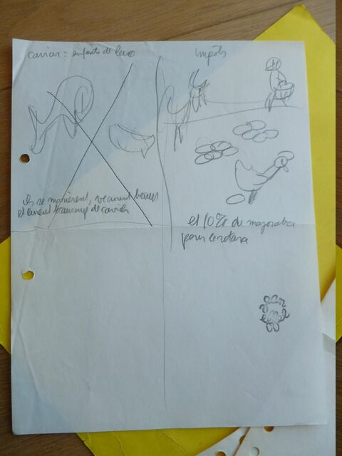 P1710654 p DBX-26-AM