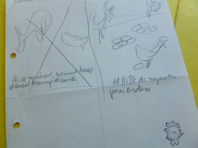 P1710655 p DBX-26-AM