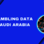 Gambling-Data-Saudi-Arabia - Picture Box