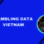 Gambling-Data-Vietnam - Picture Box