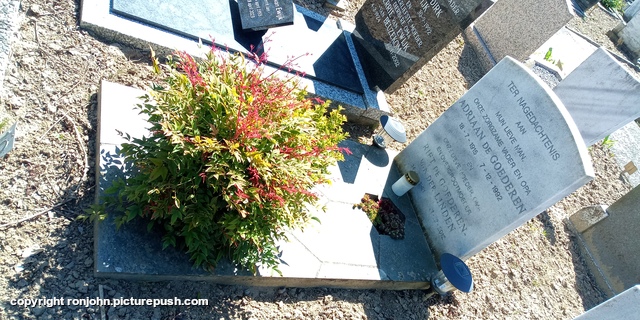 Graf Pa en Ma 25-04-26 1 R.I.P. Father 1915-1992 & Mother 1921-2012