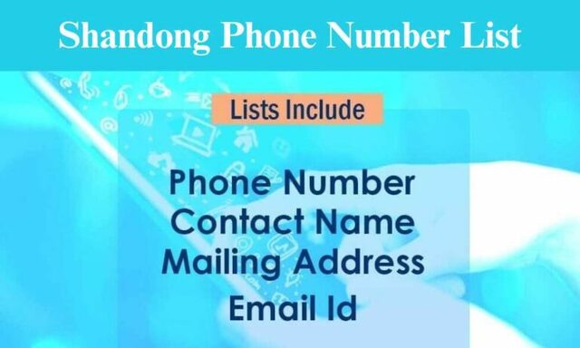 Shandong-Mobile-Number-List-768x461 Picture Box