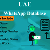 UAE-WhatsApp-Database-768x461 - Picture Box