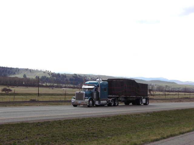 CIMG3176 Trucks
