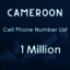 imgi 23 Cameroon-phone-numb... - Picture Box
