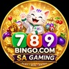 SA Gaming Baccarat - Picture Box