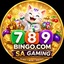SA Gaming Baccarat - Picture Box