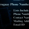 Uruguay-phone-numbers - Picture Box