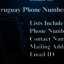 Uruguay-phone-numbers - Picture Box
