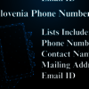 Slovenia-phone-numbers - Picture Box