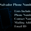El-Salvador-phone-numbers - Picture Box