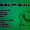 Bangladesh-WhatsApp-Lead - Picture Box