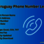 Uruguay-Phone-Number-Lead - Picture Box