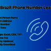 Brazil-Phone-Number-Lead - Picture Box