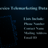 Mexico-Telemarketing-Data-min - Picture Box