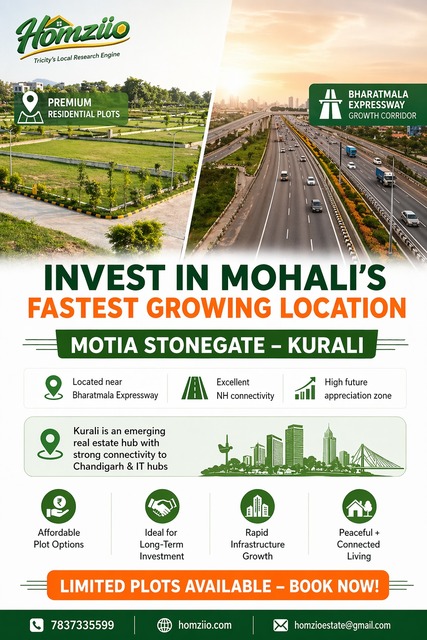 Investmenst  in Mohali - Homziio Picture Box