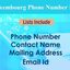 Luxembourg-Phone-Number-Lis... - Picture Box