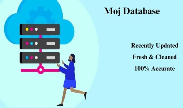 Moj-Database-768x455 Picture Box