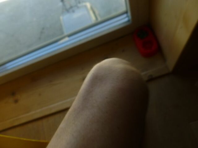 P1730074 p jja2610