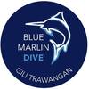 logo (2) - The PADI IDC Gili Trawangan...
