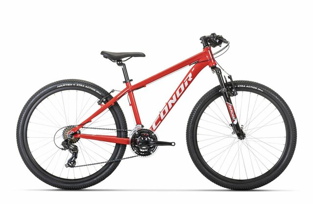 Marchio familiare di biciclette in Italia Picture Box
