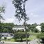 United Tree Care LLC - United Tree Care LLC