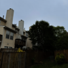 United Tree Care LLC - United Tree Care LLC