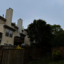 United Tree Care LLC - United Tree Care LLC