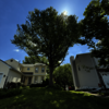 United Tree Care LLC - United Tree Care LLC