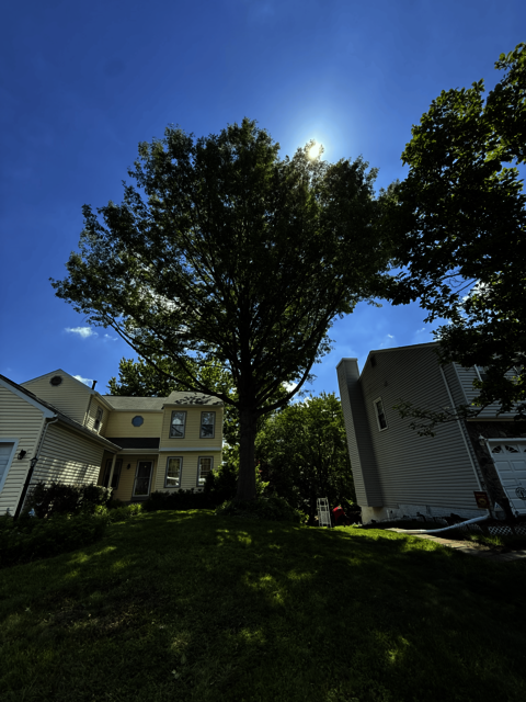 United Tree Care LLC United Tree Care LLC
