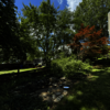 United Tree Care LLC - United Tree Care LLC