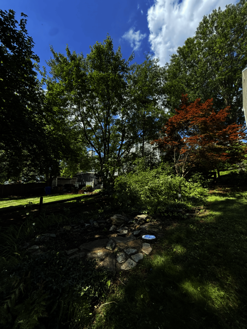 United Tree Care LLC United Tree Care LLC
