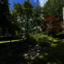 United Tree Care LLC - United Tree Care LLC
