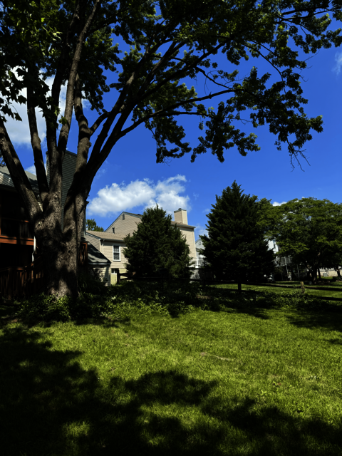 United Tree Care LLC United Tree Care LLC