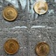 IMG 1361 - Gold