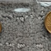 IMG 1367 - Gold