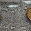 IMG 1367 - Gold