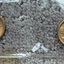 IMG 1368 - Gold