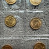 IMG 1377 - Gold