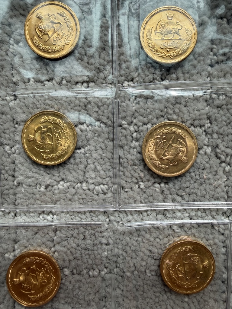 IMG 1377 Gold