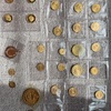 IMG 1385 - Gold