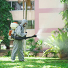 Common Pest Problems in Lan... - Picture Box