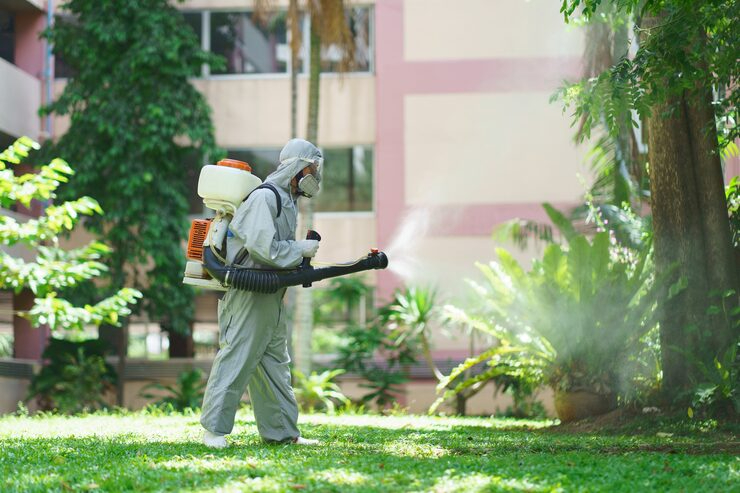 Common Pest Problems in Land O Lakes FL. Picture Box